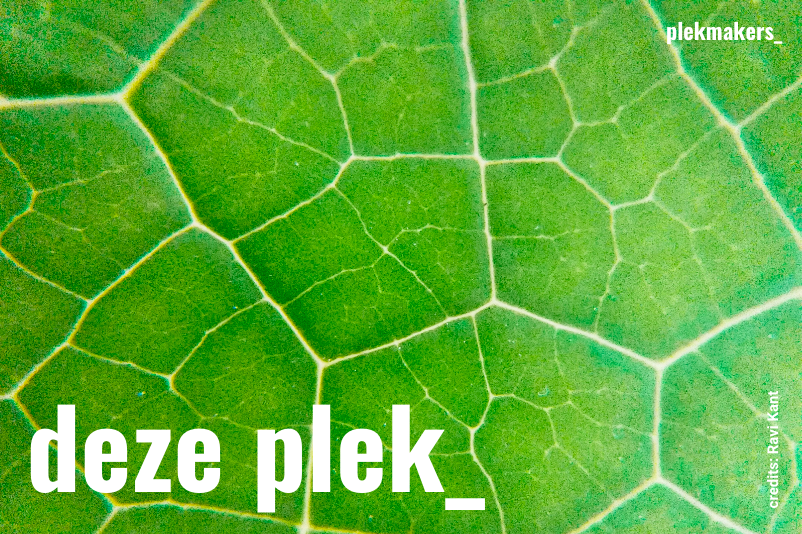 headerbeeld